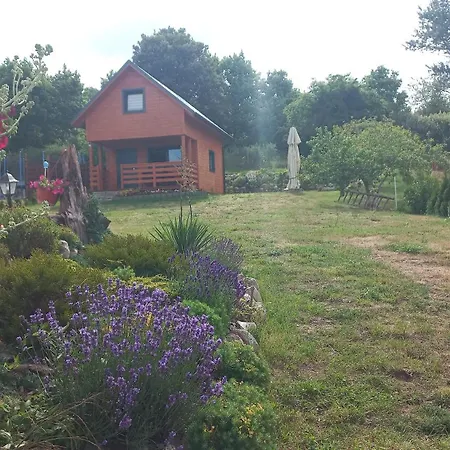 Wakacyjny Pod Grusza