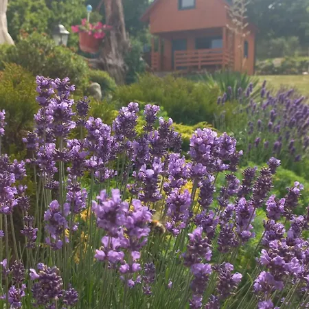 Wakacyjny Pod Grusza Parco vacanze